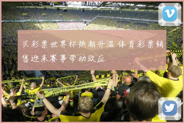 买彩票世界杯热潮升温 体育彩票销售迎来赛事带动效应