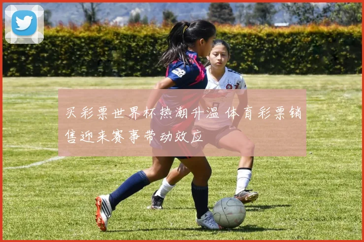 买彩票世界杯热潮升温 体育彩票销售迎来赛事带动效应