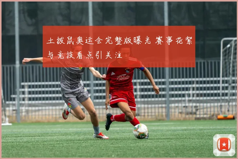 土拨鼠奥运会完整版曝光 赛事花絮与竞技看点引关注