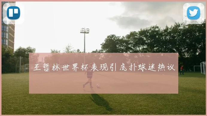 王哲林世界杯表现引虎扑球迷热议