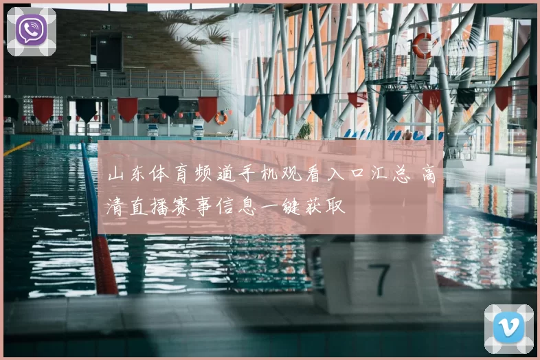 山东体育频道手机观看入口汇总 高清直播赛事信息一键获取