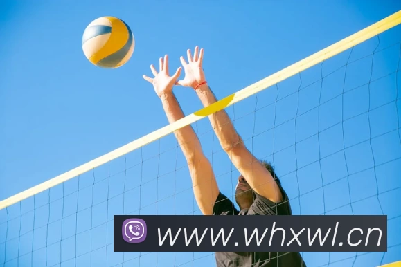 九游(NINE GAME)体育·官方网站 - 中国智慧体育科技领导者平台生态图