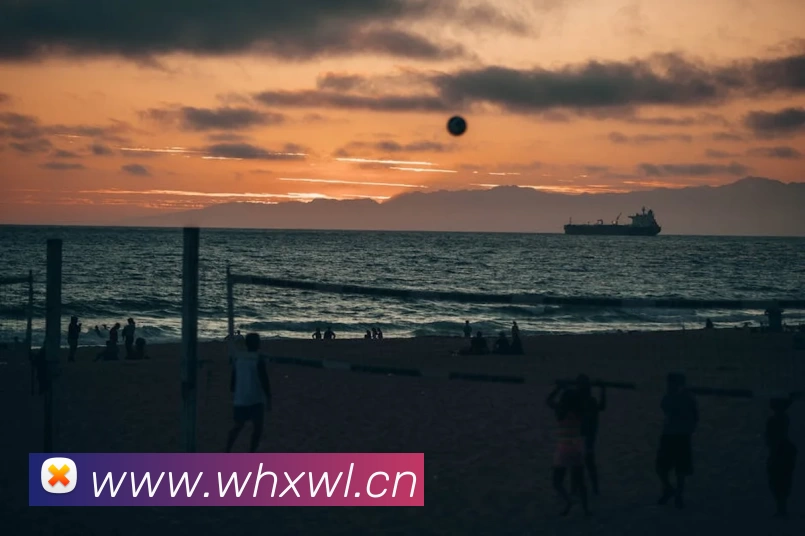 九游(NINE GAME)体育·官方网站 - 中国智慧体育科技领导者APP 封面图